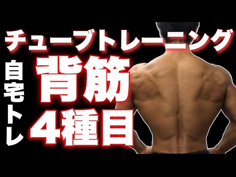 【初心者向け】 チューブトレーニング 背中 (広背筋)自宅で本格トレーニング