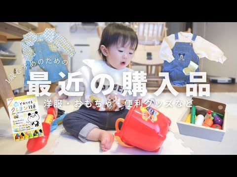 【購入品】最近1歳娘のために買った7点紹介！おもちゃ/ベビー服/便利グッズbaby haul