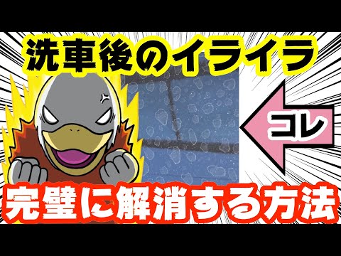 【洗車プロに学ぶ】実はこの水滴跡、⚪︎⚪︎で洗えば、拭かなくても発生しないんです‼︎【純水器】