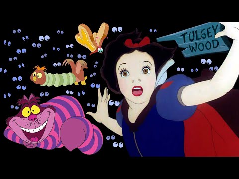 Snow White in Wonderland / Disney Crossover