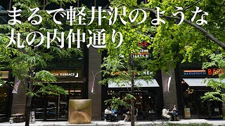 まるで軽井沢のような丸の内仲通り