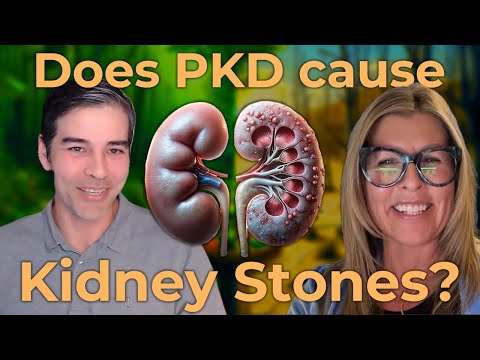 Kidney Experts Answer Questions About Kidney Stones In PKD