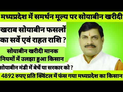 मध्यप्रदेश में समर्थन मूल्य पर सोयाबीन खरीदी । 4892₹ प्रति क्विंटल भाव में फंस गया सोयाबीन किसान ।