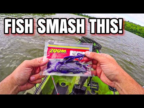 This SECRET Color ALWAYS Catches! (Texas Rig Fishing)