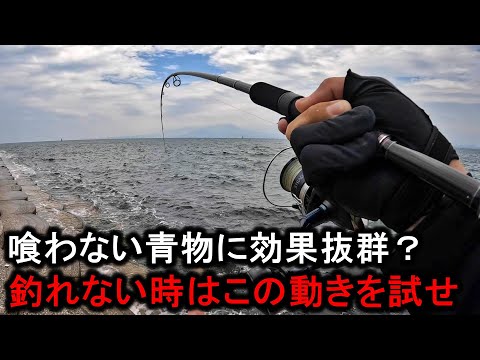 真っ昼間の堤防で…喰いの悪い青物を大量に釣り上げたアクションがこれだ。