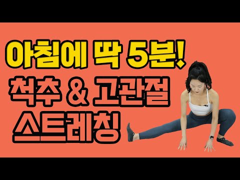 매일 아침 5분만 이렇게 해보세요! 삶이 달라집니다! 매일 아침 5분 루틴! - 세모핏 #127ㅣ척추스트레칭 고관절스트레칭 골반스트레칭 아침루틴 아침운동 5분운동 홈트