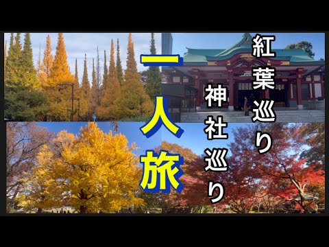 【紅葉巡り・神社巡り一人旅】12/4  素晴らしい景色をご覧下さい。神宮外苑・新宿御苑・大田黒公園・明治神宮・山王日枝神社・豊川稲荷東京別院・秋葉神社。他