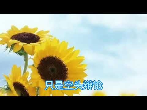 佛门从来都不清净~菏泽神会5说话的后果