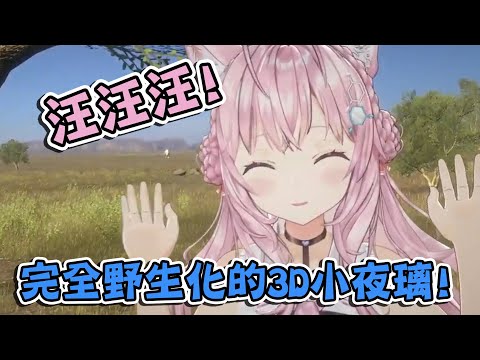 耳膜注意! 叫聲完全是野生動物的博衣小夜璃3D回【博衣こより】【vtuber中文翻譯】