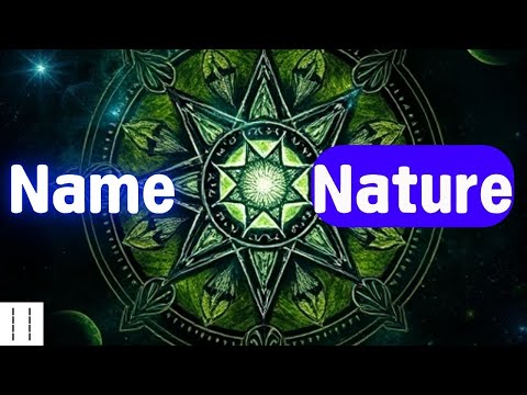 Spirit 101: Nature, Numerology, and How They Are Simply Used.