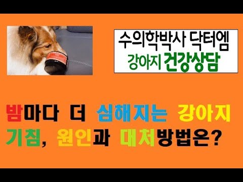 잠자는 밤에 더 심해지는 강아지 기침, 그 원인과 대처방법은?