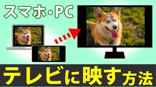 【一番簡単な方法は】スマホ画面をテレビに映して、写真や動画を大画面で楽しむ