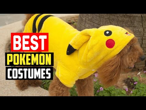 ✅Top 5 Best Pokemon Costumes for Dogs in 2023