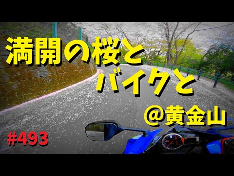 満開の桜並木をバイクで走る～広島市南区黄金山～_493@GSX-R600(L6)