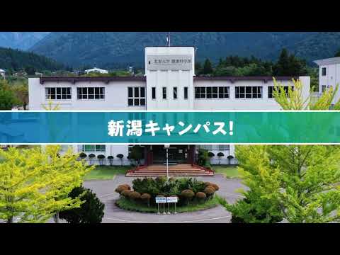 北里大学 健康科学部 看護学科