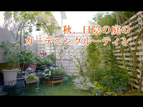 ガーデニング Vlog｜秋、日陰の庭のガーデンニングルーティン｜ 〜小さな庭のある暮らし 144〜Gardening ｜ Life in a tiny garden