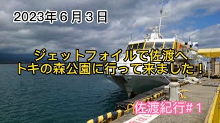 ジェットフォイルで佐渡へ　トキの森公園に行って来ました！　佐渡紀行#１