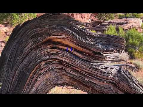 Rim View at Colorado National Monument, Randy “Windtalker” Motz, Native American Style Flute