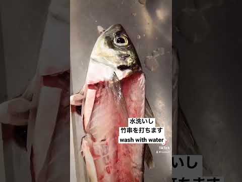 アジを水槽から上げ活け造りにしました！Ikezukuri of horse mackerel