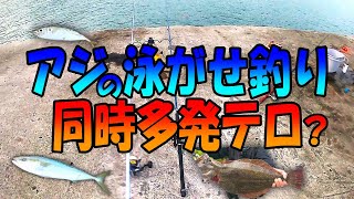 【泳がせ釣り】現地調達のアジを針に付けて放り込んでおくだけで２本の竿が同時にブチ曲がるらしいですぜ？〈2024年11月中旬〉