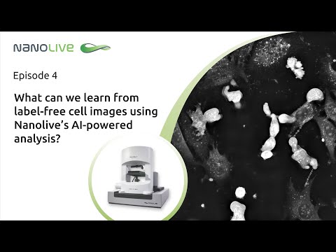 Episode 4  - What can we learn from label-free cell images using Nanolive’s AI-powered analysis?