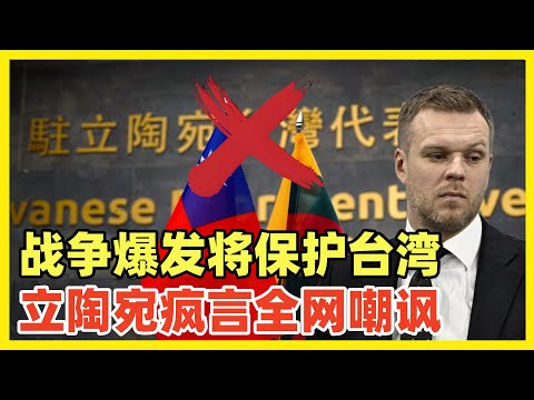 立陶宛准外长扬言：台海战争爆发将保护台湾！不自量力愚蠢言论惹全网群嘲！立陶宛连续两届政府都持反中立场，中国需要抛弃下一届上台会改变的幻想，现在立刻马上就要祭出，全方位制裁立陶宛反华政客的大棒！