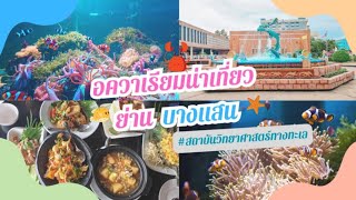 สถาบันวิทยาศาสตร์ทางทะเล #พิพิธภัณฑ์สัตว์น้ำ บางแสน มหาวิทยาลัยบูรพา จังหวัดชลบุรี