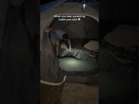 Unwanted camping buddy