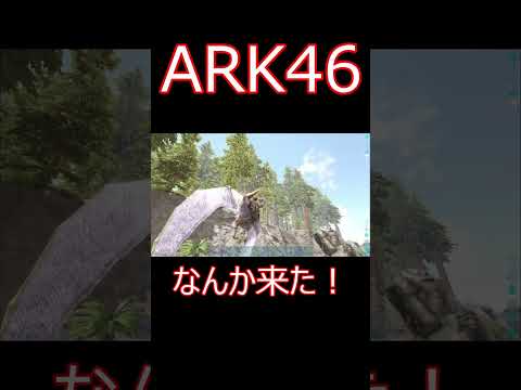 蜂みたいなのに追われるんですけど；； ゲーム実況  #shorts 【ARK】survivalevolved