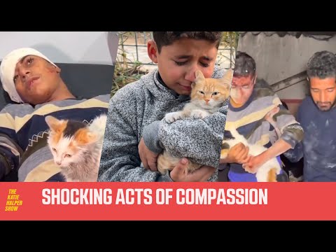 Palestinians RISK Their Lives To Save Animals