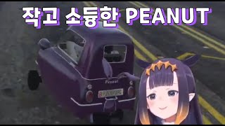 【홀로 GTA】우리 맹하며 귀여운 이나 보고 가시라구...