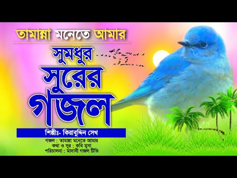 সুমধুর সুরের অন্তর ঠান্ডা করা গজল || তামান্না মনেতে আমার || Tamanna Monete Amar || Kirabuddin Sk