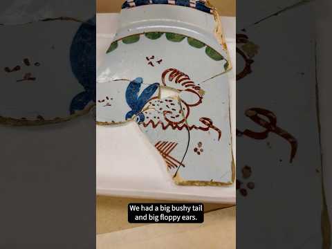 What animal is on this plate? | Tales From the Collection