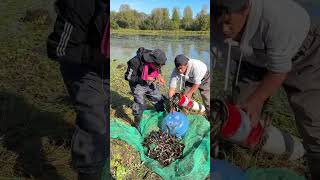 Fishing is also a job that requires technique. Practical experience, today's harvest results #203