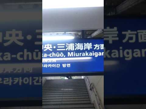 安針塚駅のコンコース #安針塚駅 #京急本線 #聖徳伝説　～ True Administrator #たびその #鉄道 #横須賀市 #電車 #チャンネル登録お願いします