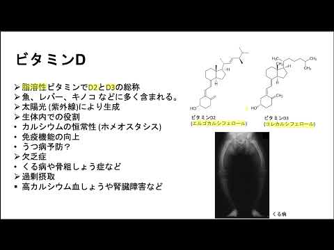 ビタミンDの代謝