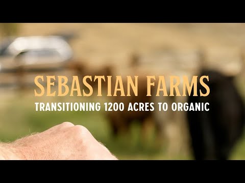 Organic Innovation Series Episode 6: Transitioning 1,200 Acres to Organic - Sebastian Farms