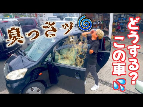 【悪臭漂う汚車】復活なるか？車屋の本気の内装清掃で生まれ変わった！