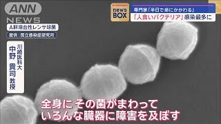 “人食いバクテリア”感染最多に　専門家「半日で命にかかわる」【スーパーJチャンネル】(2024年1月18日)