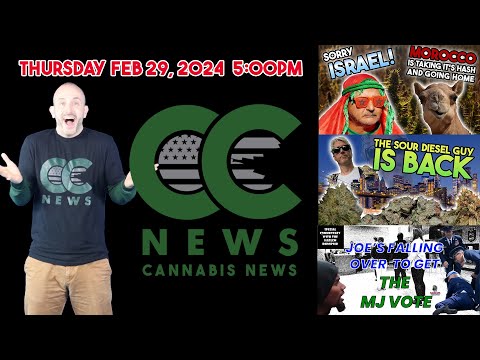 Cannabis News Update – No More Hash for Israel, Sour Diesel Coming Back , Biden tripping for MJ Vote