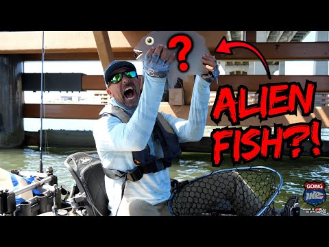 Catching Fish that have HUMAN TEETH?! (Kayak Fishing!)