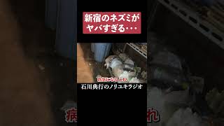 新宿歌舞伎町に大量のネズミが発生してたｗｗ