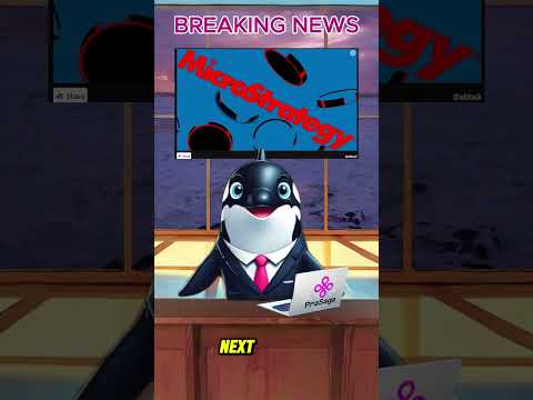 Talking Whale News! #breakingnews