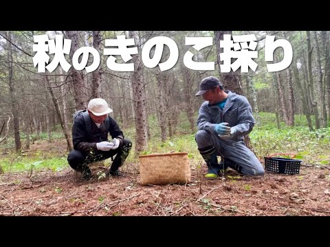 近所の山で秋のきのこ採り〜声でかいおっさんに密着