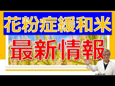 花粉米とは？実用化は？「花粉症緩和米」最新情報について大久保公裕先生がやさしく解説