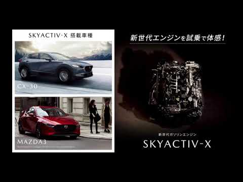 NSTマツダ体感フェア2020