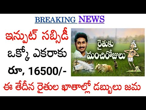 ఇన్పుట్ సబ్సిడీ కొత్త తేదీ ప్రకటన// ap input subsidy release date 2024/ap input subsidy release date