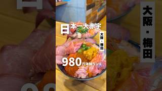 【日本一大赤字の980円海鮮丼ランチ】「地下鉄 東梅田駅から徒歩10分」📍almalio #大阪グルメ #大阪ランチ #梅田グルメ #大阪海鮮丼 #osakafood