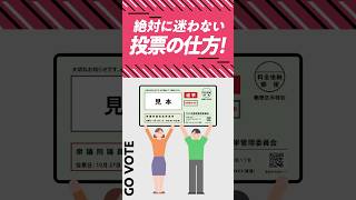 絶対に迷わない投票の仕方！ #衆院選2024 #比例はりっけん #政権交代こそ最大の政治改革