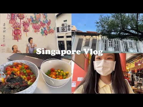 (eng/中) Weekly Singapore vlog🤠🥑/ hang out with me!/新加坡留学日常/牛油果鸡蛋沙拉